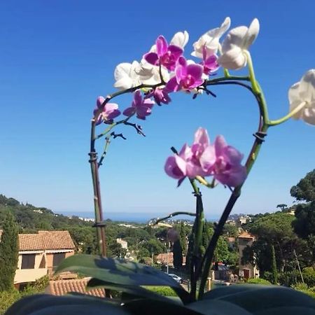 Hameau Du Soleil Apartman Cavalaire-sur-Mer Kültér fotó